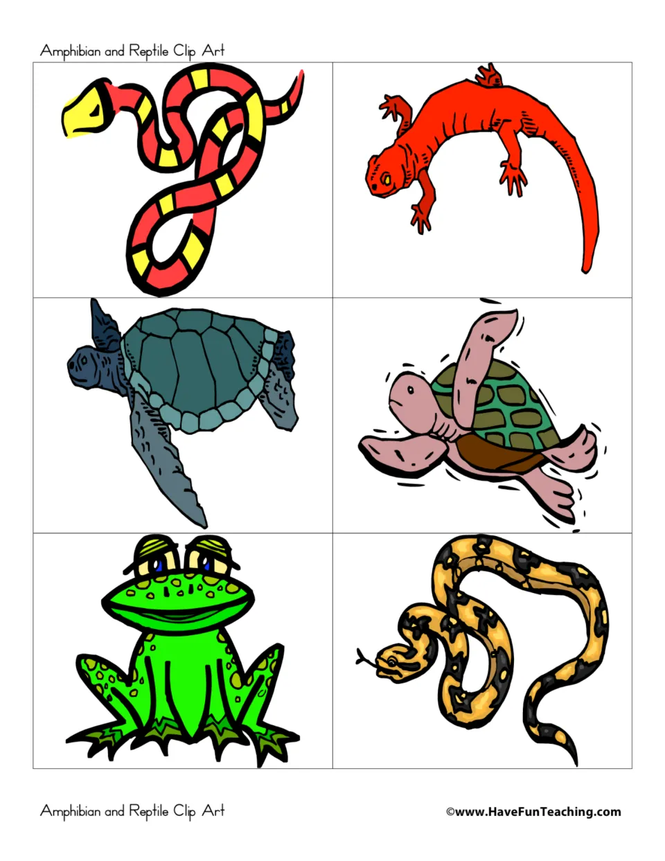 Animal picture cards: a red and yellow snake, red salamander, sea turtle, turtle, cartoon frog and spotted snake to sort