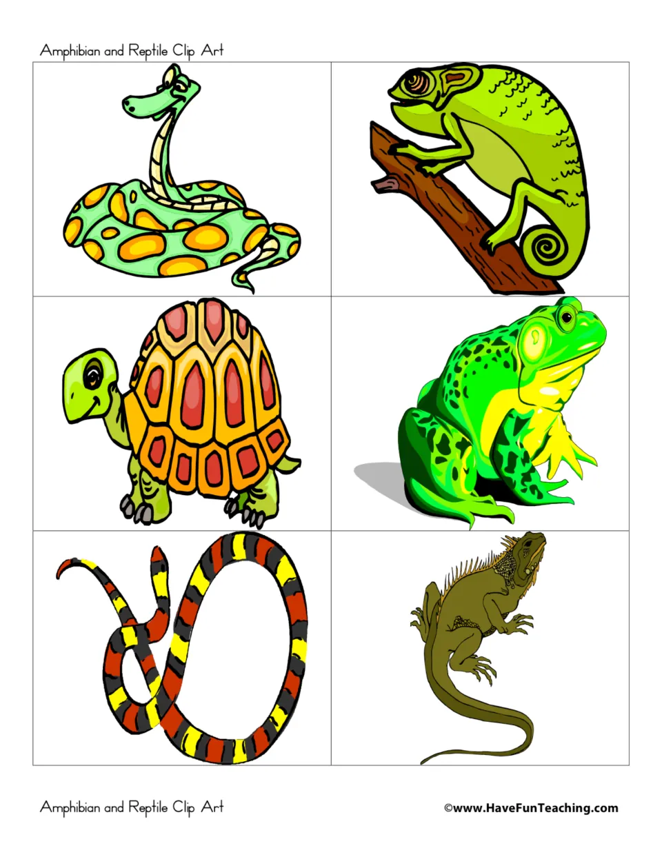Animal picture cards: a spotted snake, chameleon on a branch, tortoise, bullfrog, banded snake and iguana for sorting