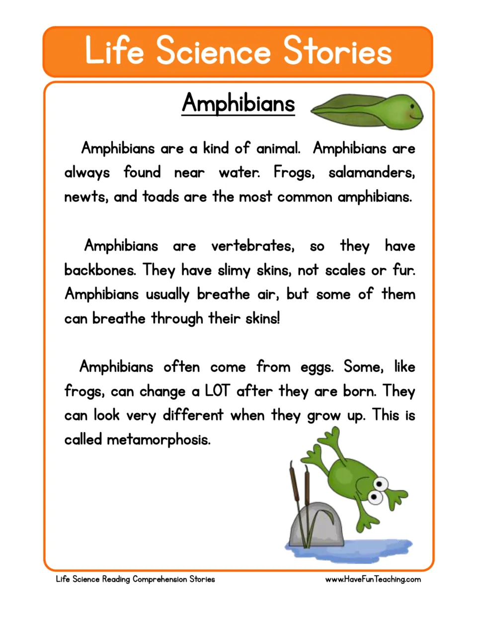Reading passage about amphibians: common examples, backbones, skin, breathing, eggs, and metamorphosis.