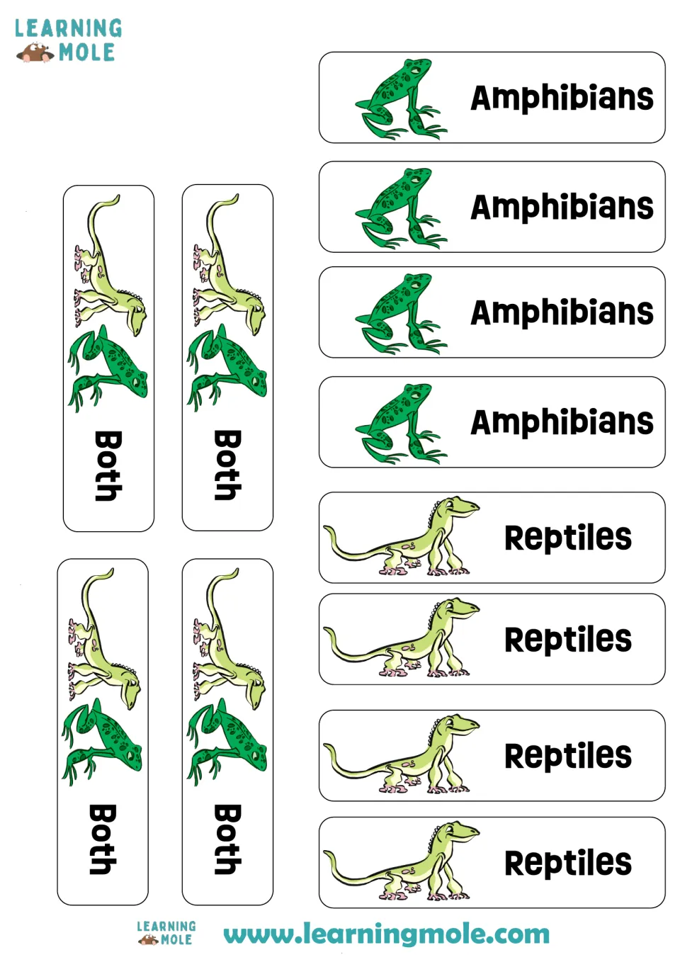 Cut-out pieces: 4 Amphibians labels with a frog, 4 Reptiles labels with a lizard and 4 Both labels for the trait sort