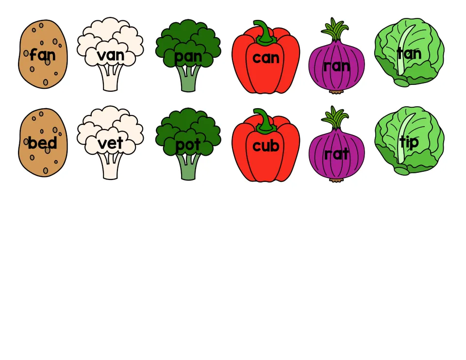 Word cards on vegetables for sorting: fan, van, pan, can, ran, tan versus non-examples bed, vet, pot, cub, rat and tip