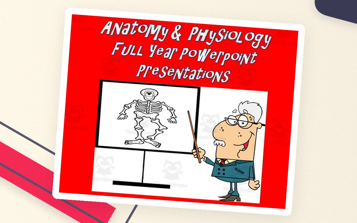 Anatomy and Physiology | PowerPoint Presentations Full Year Package preview
