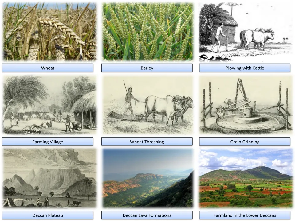 Early farming images of wheat, barley, plowing with cattle, threshing and grain grinding, plus Deccan Plateau landscapes
