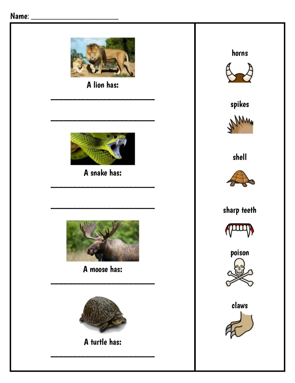 Matching adaptations to animals: students write what a lion, snake, moose and turtle have, using a horns-to-claws word bank