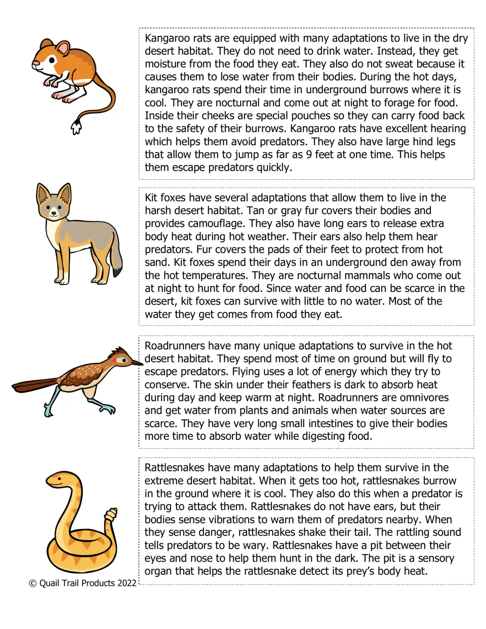 Desert animal reading: kangaroo rat, kit fox, roadrunner and rattlesnake adaptations such as burrows and heat sensing