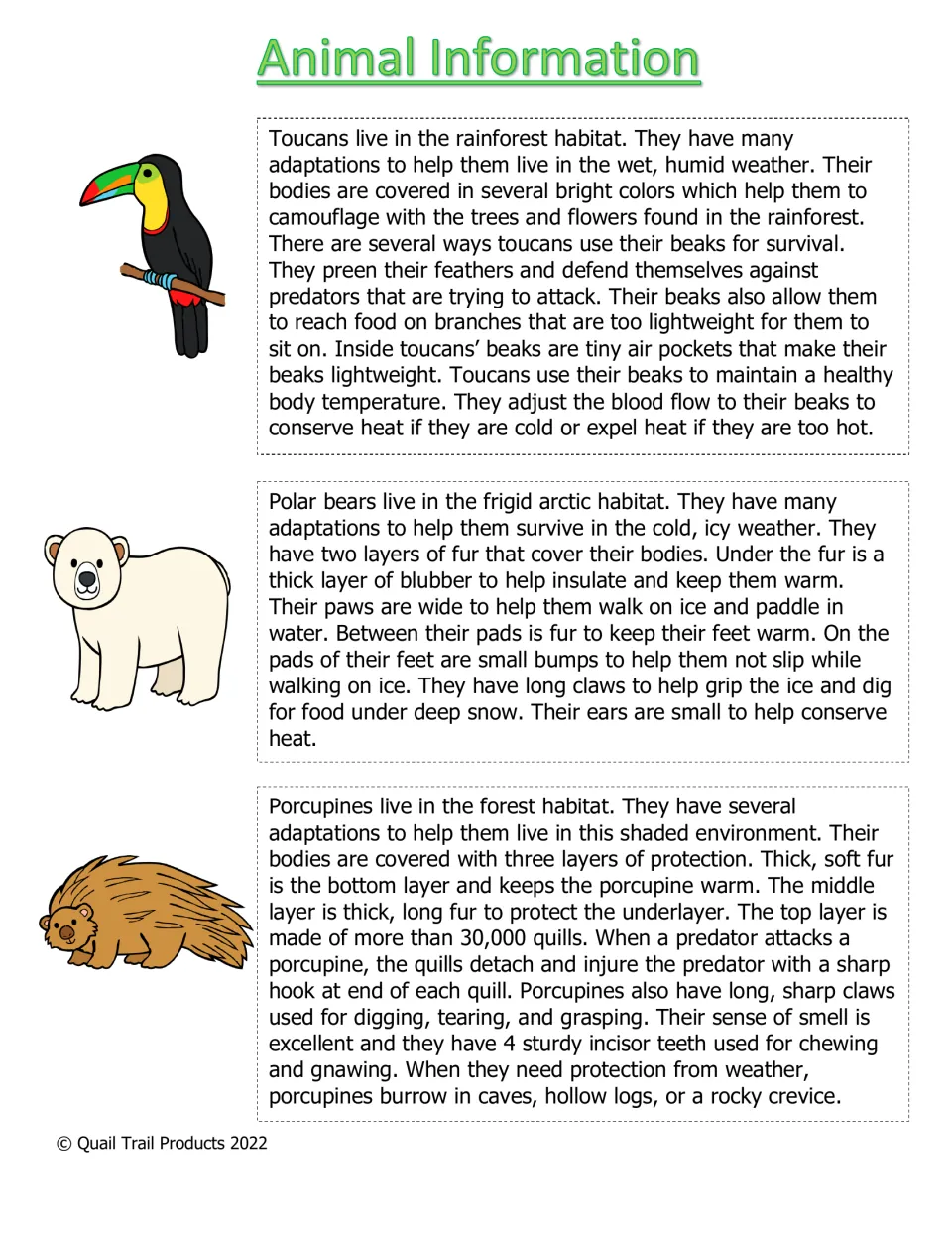 Animal Information reading on toucan, polar bear and porcupine adaptations in rainforest, arctic and forest habitats
