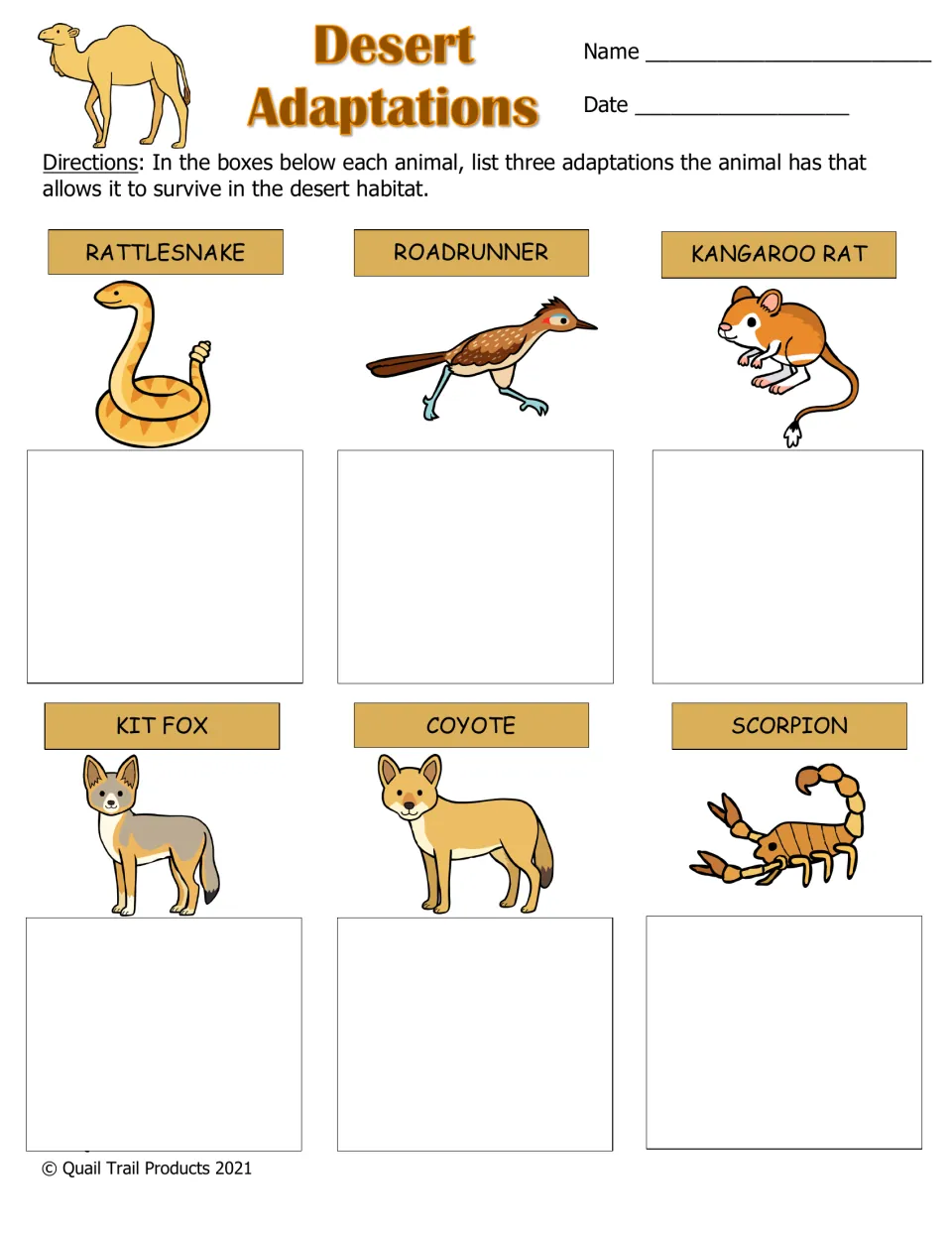 Desert Adaptations: students list three adaptations for each of six desert animals, including roadrunner and kangaroo rat