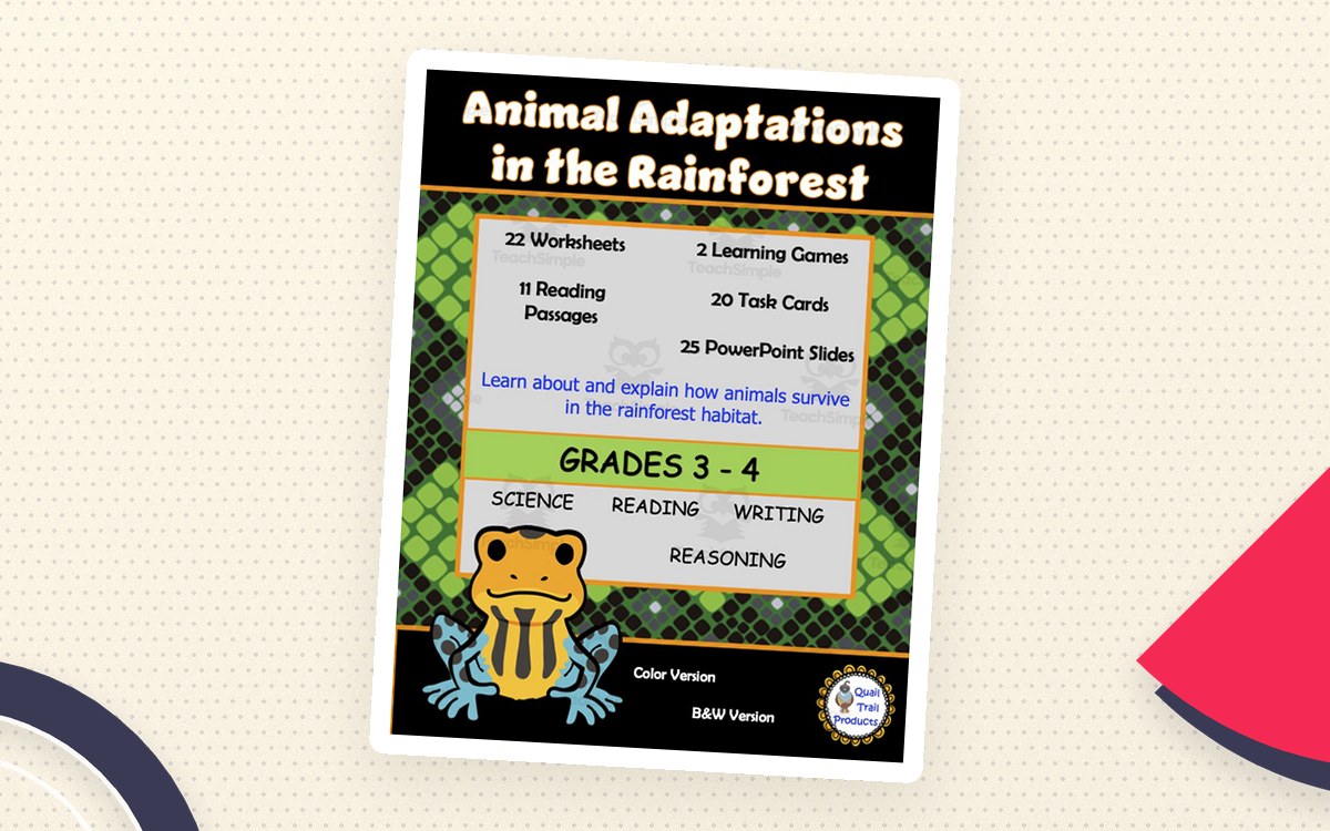 Animal Adaptations in the Rainforest Habitat preview: Rainforest Adaptations slideshow (25 slides)