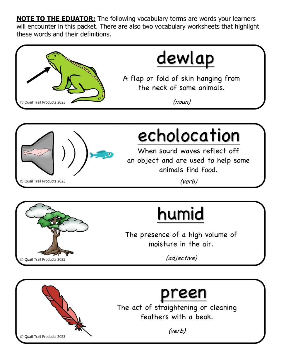 Rainforest vocabulary cards defining dewlap, echolocation, humid and preen, each with a picture and part of speech