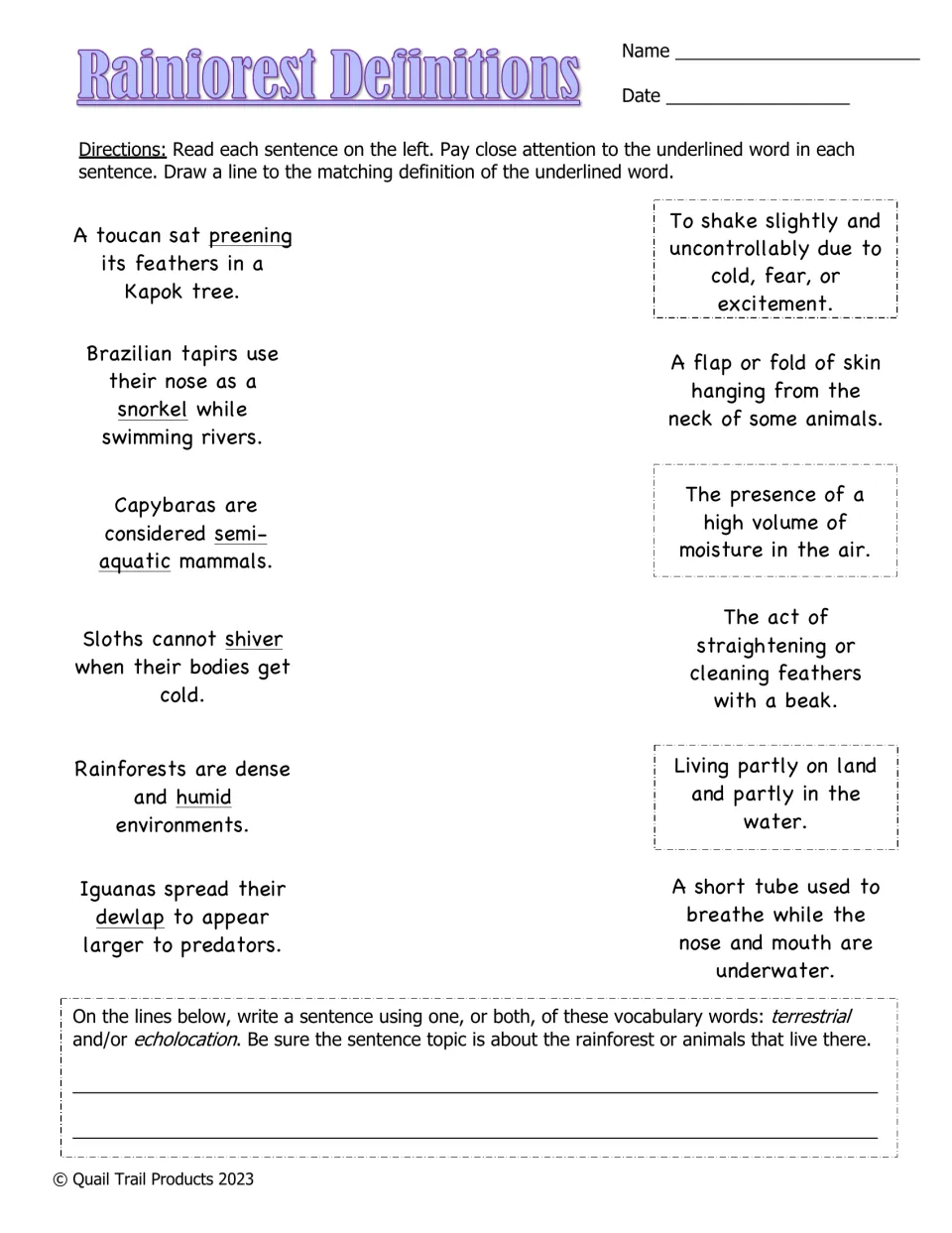 Rainforest definitions: students match underlined words in sentences to meanings, then write a sentence using terrestrial