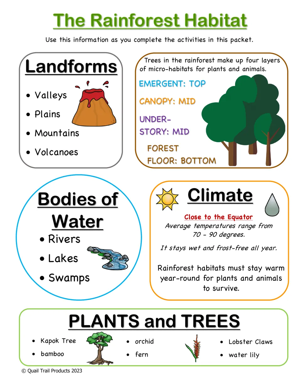 Rainforest habitat fact sheet on landforms, four tree layers from emergent to forest floor, climate, water, plants and trees