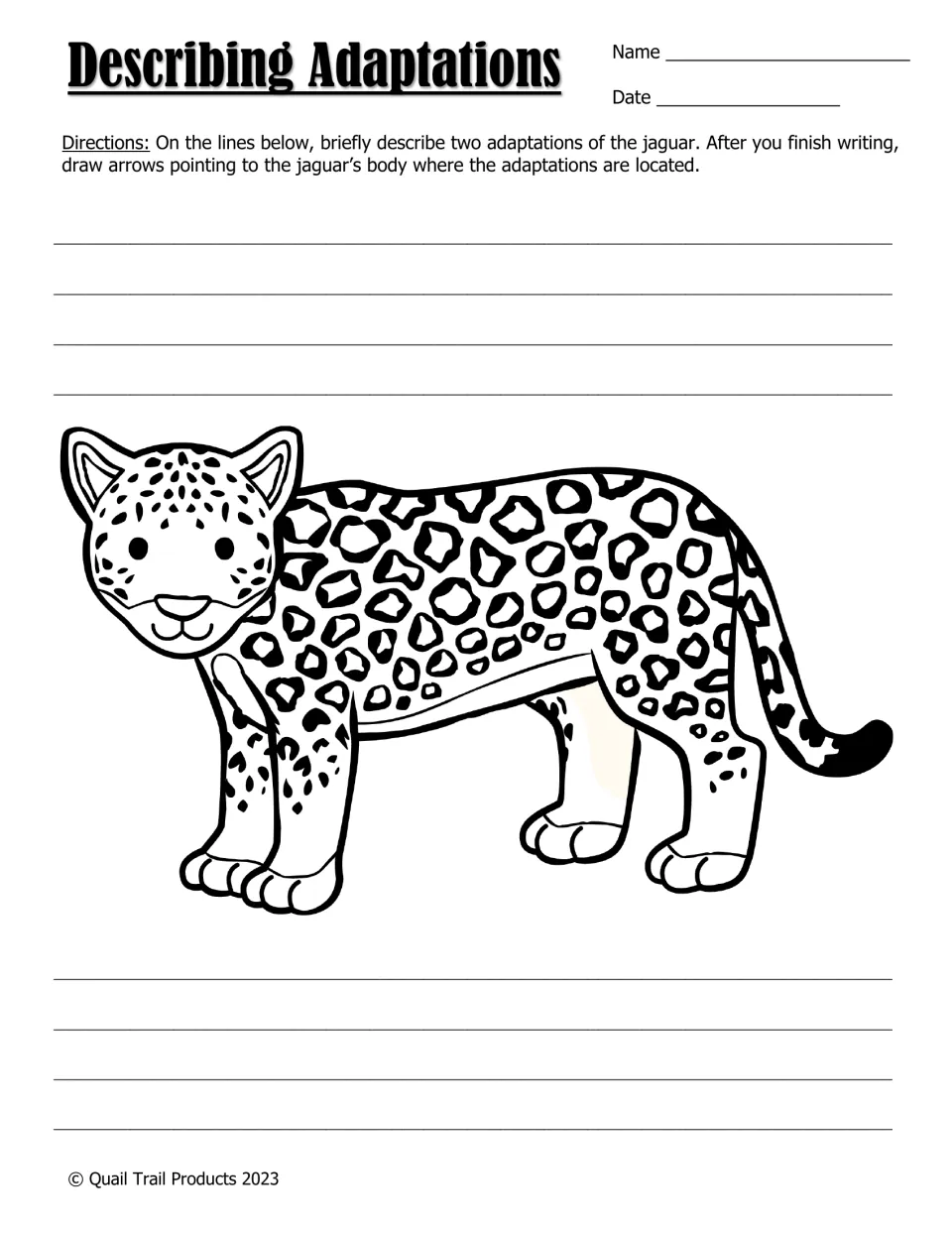 Describing adaptations: students write two jaguar adaptations and draw arrows to where they appear on the jaguar drawing