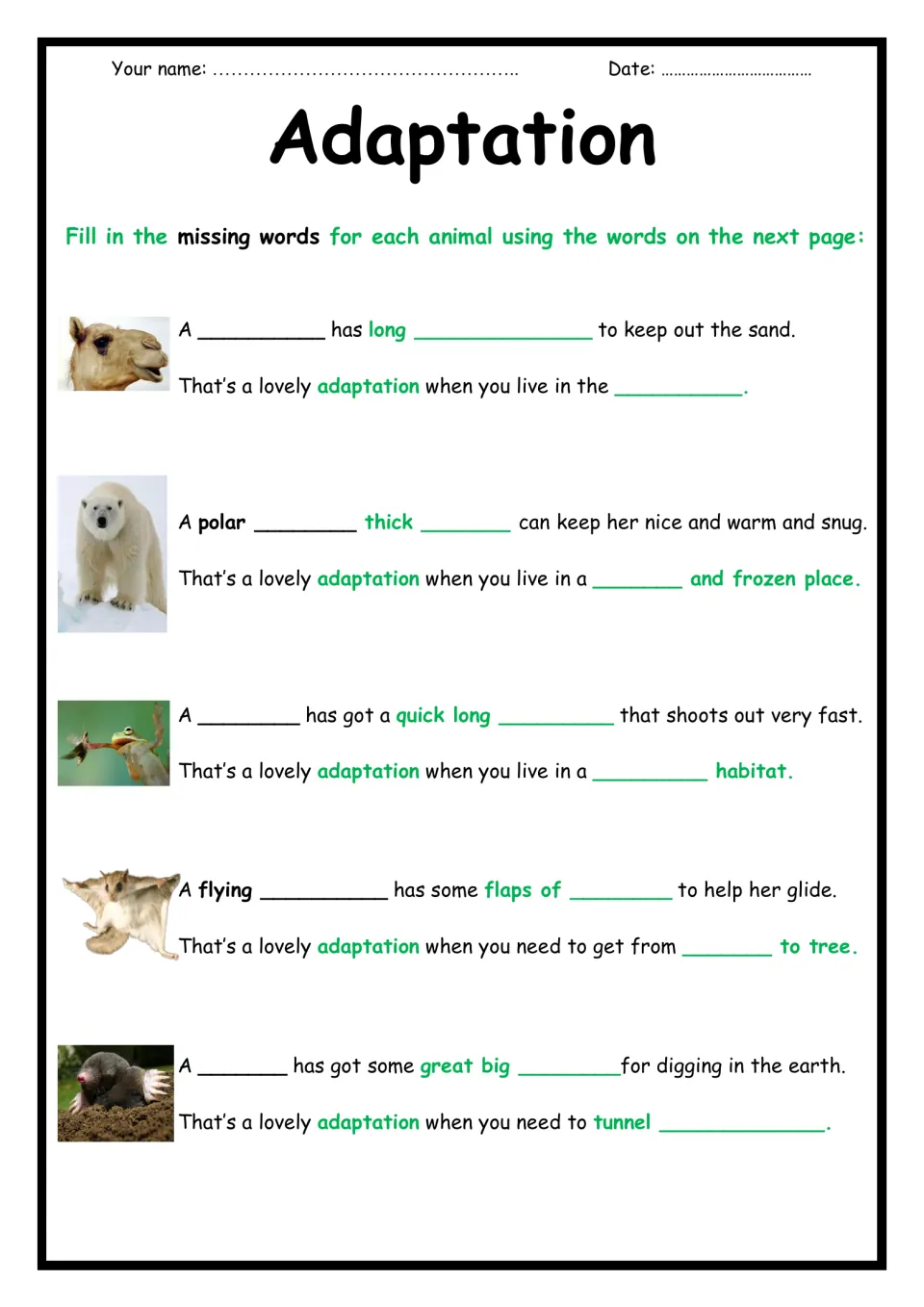 Adaptation cloze: students fill in missing words on how a camel, polar bear, frog, flying squirrel and mole survive