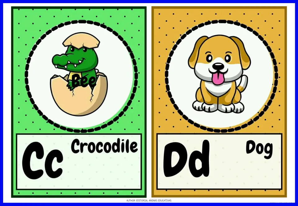 Animal alphabet flashcards 3–4: Cc Crocodile and Dd Dog, with uppercase and lowercase letters and animal pictures
