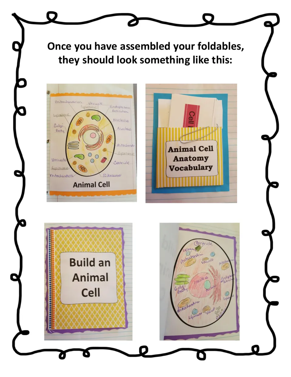 Finished examples: photos of a labeled cell diagram, vocabulary pocket with cards, and Build an Animal Cell flip booklet