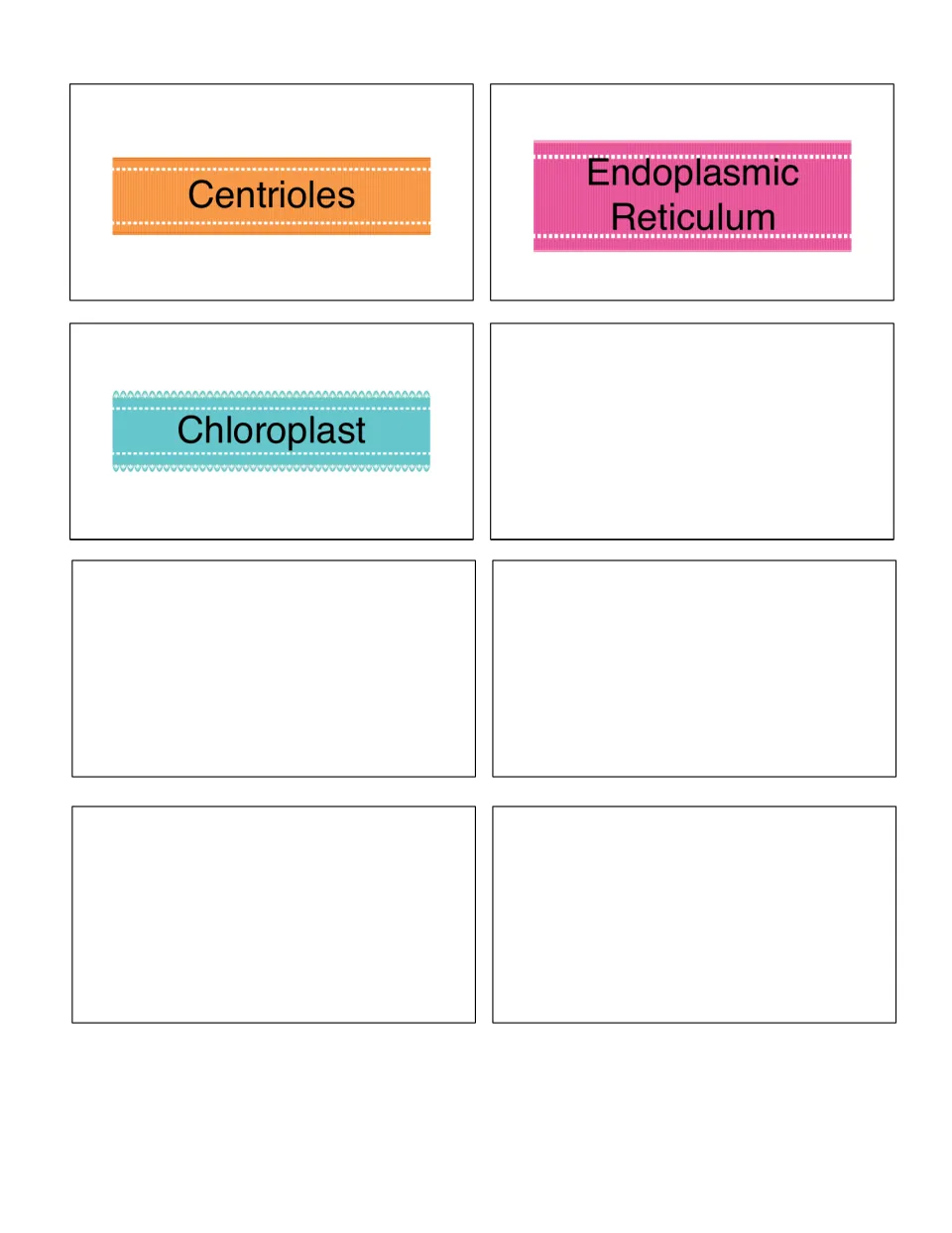 More vocabulary cards for centrioles, endoplasmic reticulum and chloroplast, plus five blank cards for extra cell terms