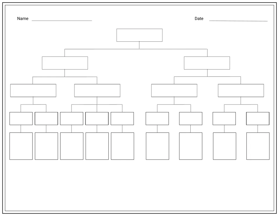 Blank animal classification tree: students write vertebrate and invertebrate groups and example animals under each branch