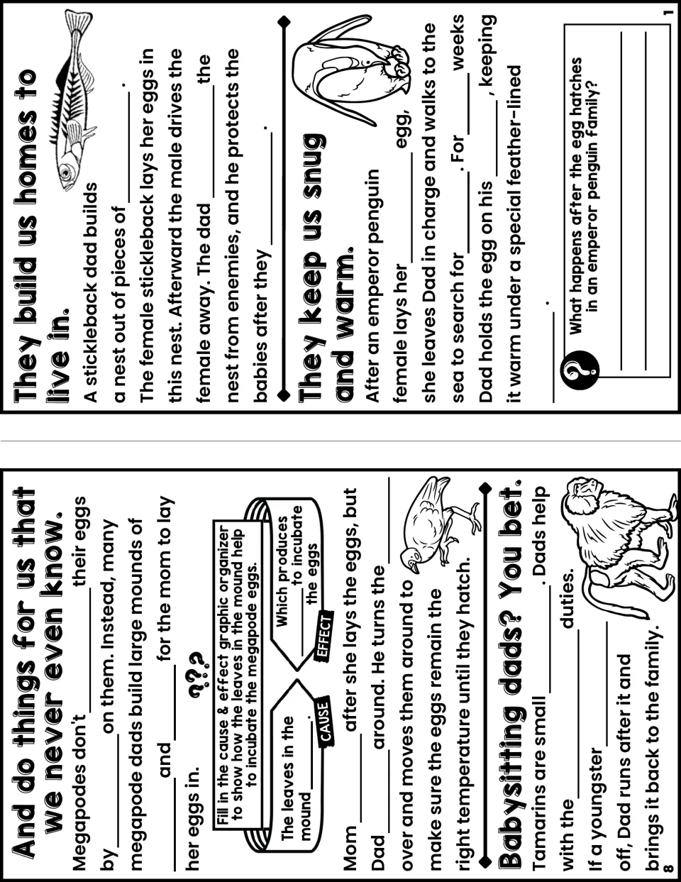 Notes booklet pages 8 and 1 cover megapode egg care, tamarin babysitting, stickleback nests, and penguin eggs.
