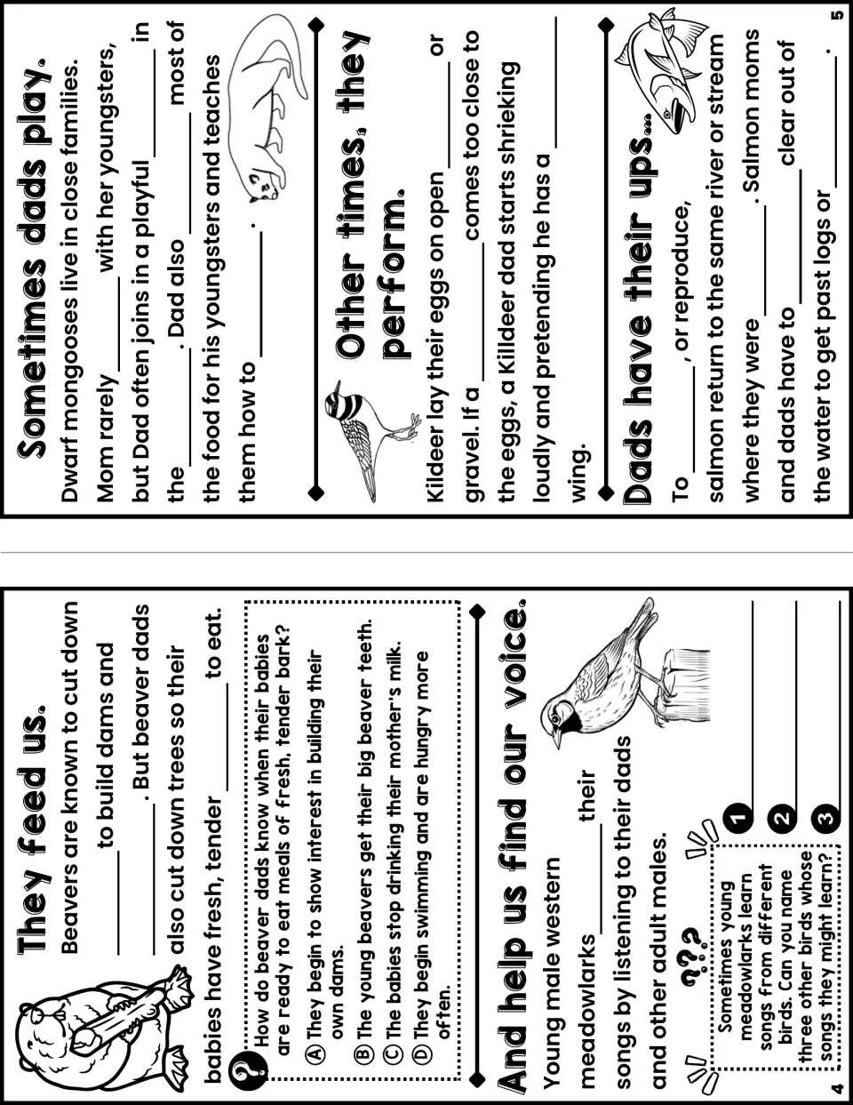 Notes booklet pages 4 and 5 cover beaver feeding, bird songs, mongoose play, killdeer displays, and salmon.