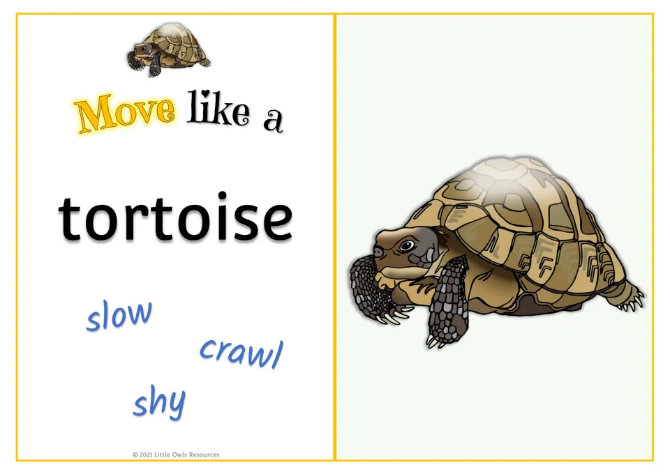 Tortoise movement card: 'Move like a tortoise' with slow, crawl, and shy prompts and a tortoise picture.