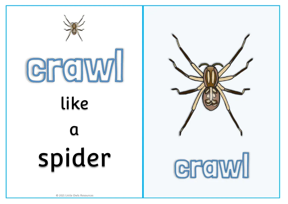 Animal movement card 1: 'crawl like a spider,' with a large spider picture and 'crawl' on the reverse side.