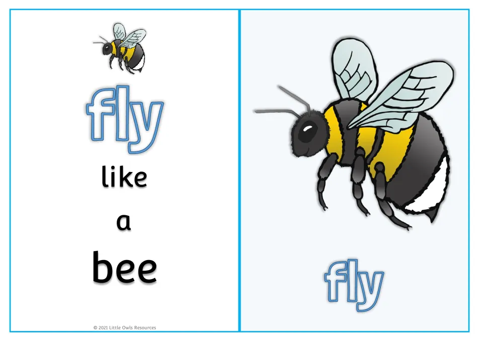 Animal movement card 3: 'fly like a bee,' with a large bee picture and the verb 'fly' on the reverse side.