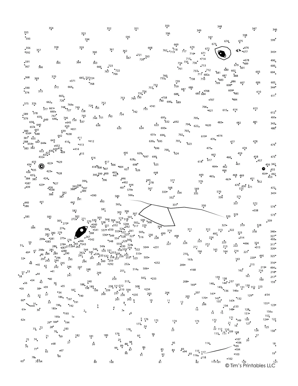 Two turtles dot-to-dot: students join about 770 numbered dots in sequence to complete both animals from their drawn eyes