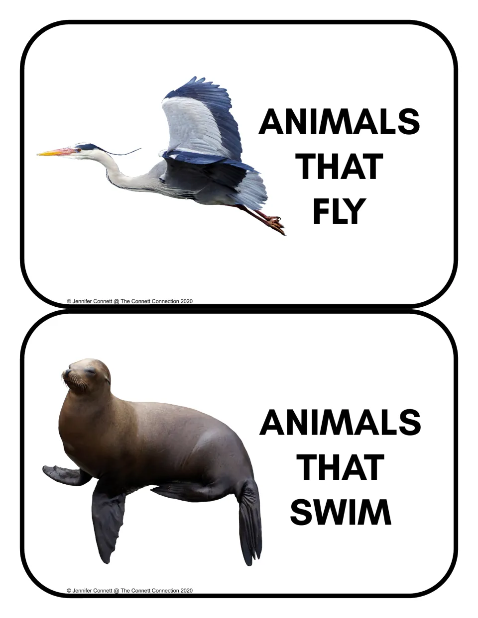 Animal sorting headers: Animals That Fly and Animals That Swim, illustrated by a heron and a sea lion