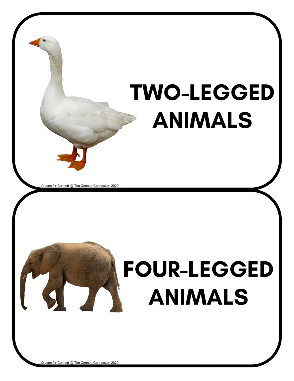 Animal sorting headers: Two-Legged Animals and Four-Legged Animals, illustrated by a goose and an elephant