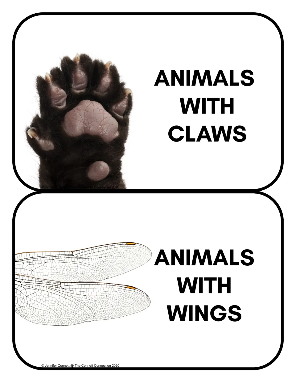 Animal sorting headers: Animals With Claws and Animals With Wings, illustrated by a paw and insect wings