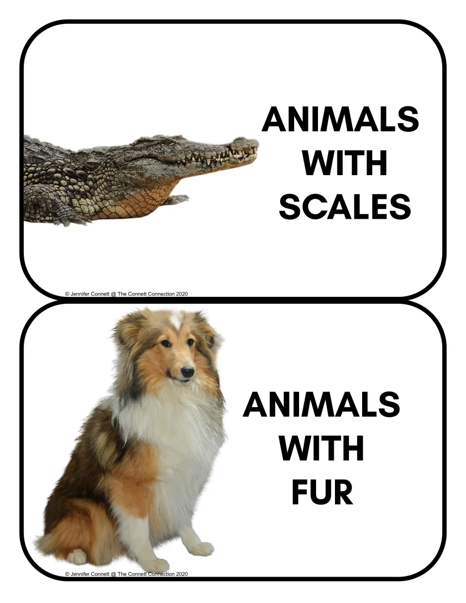 Animal sorting headers: Animals With Scales and Animals With Fur, illustrated by a crocodile and a dog