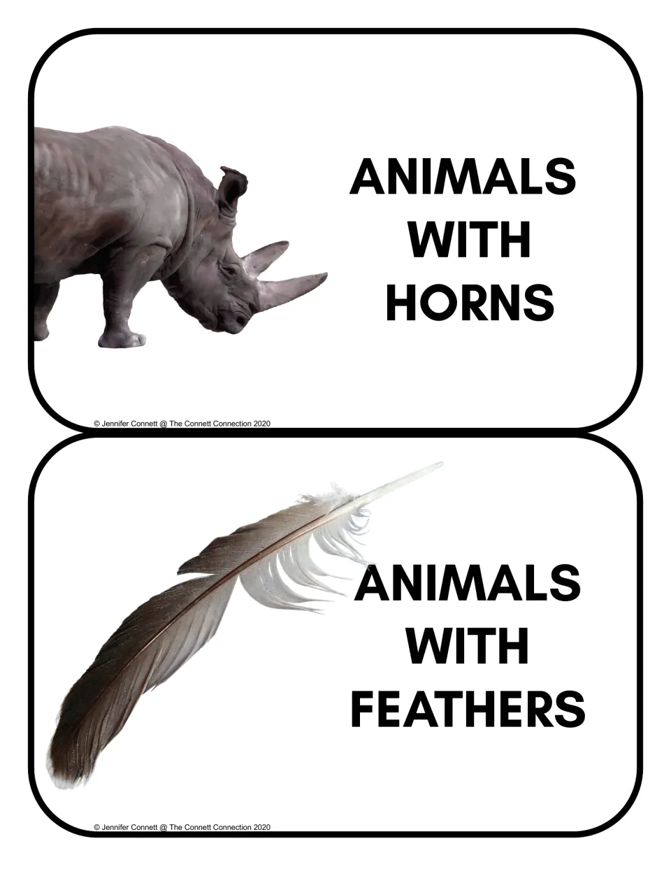 Animal sorting headers: Animals With Horns and Animals With Feathers, with a rhinoceros and a feather