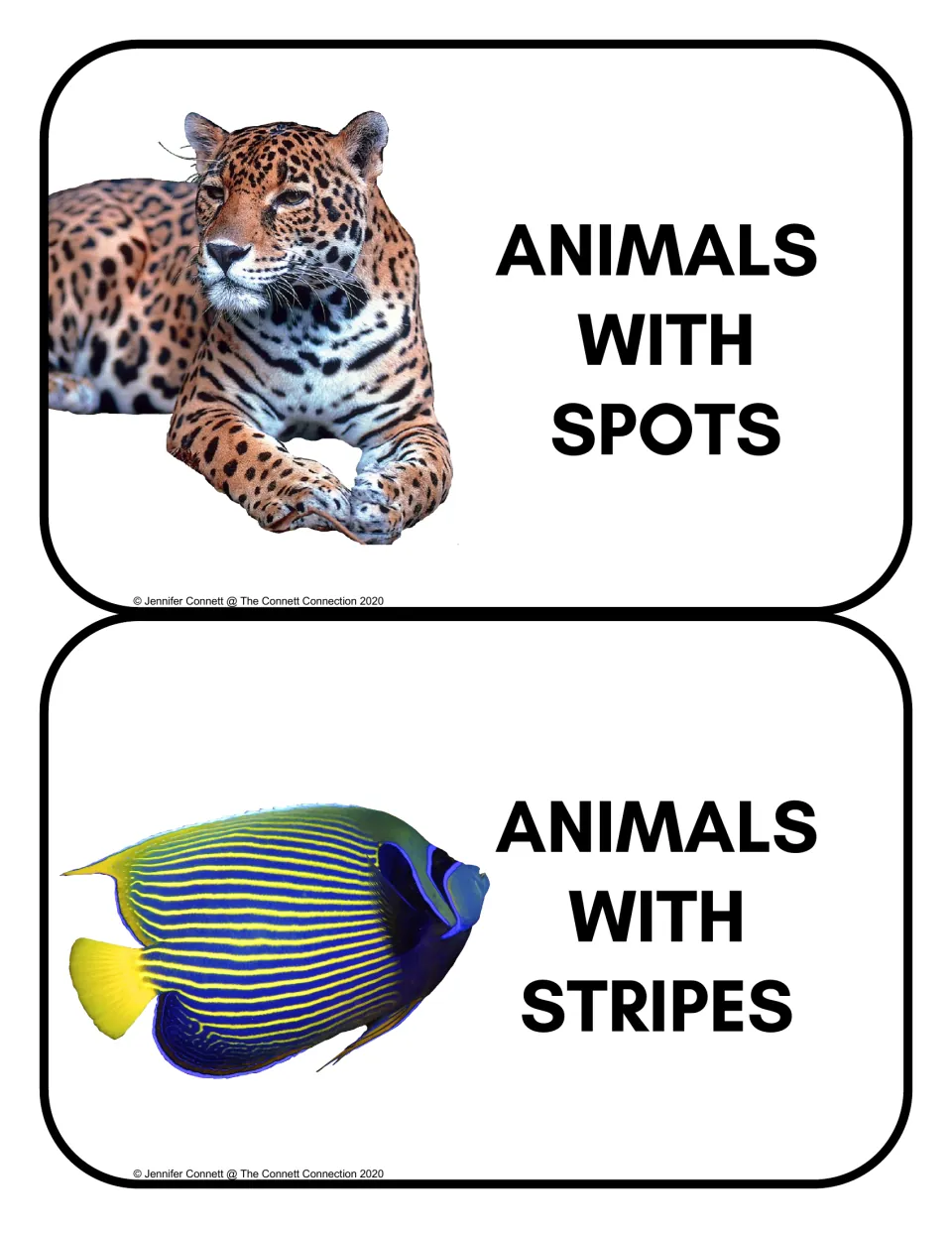 Animal sorting headers: Animals With Spots and Animals With Stripes, with a spotted cat and striped fish