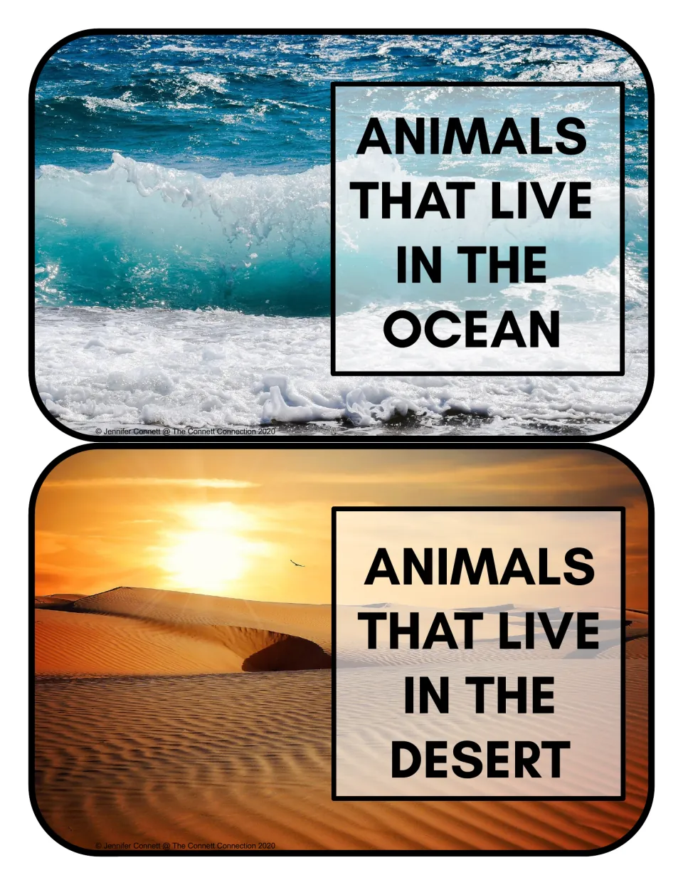 Habitat sorting header cards 1–2: 'Animals that live in the ocean' and 'Animals that live in the desert'