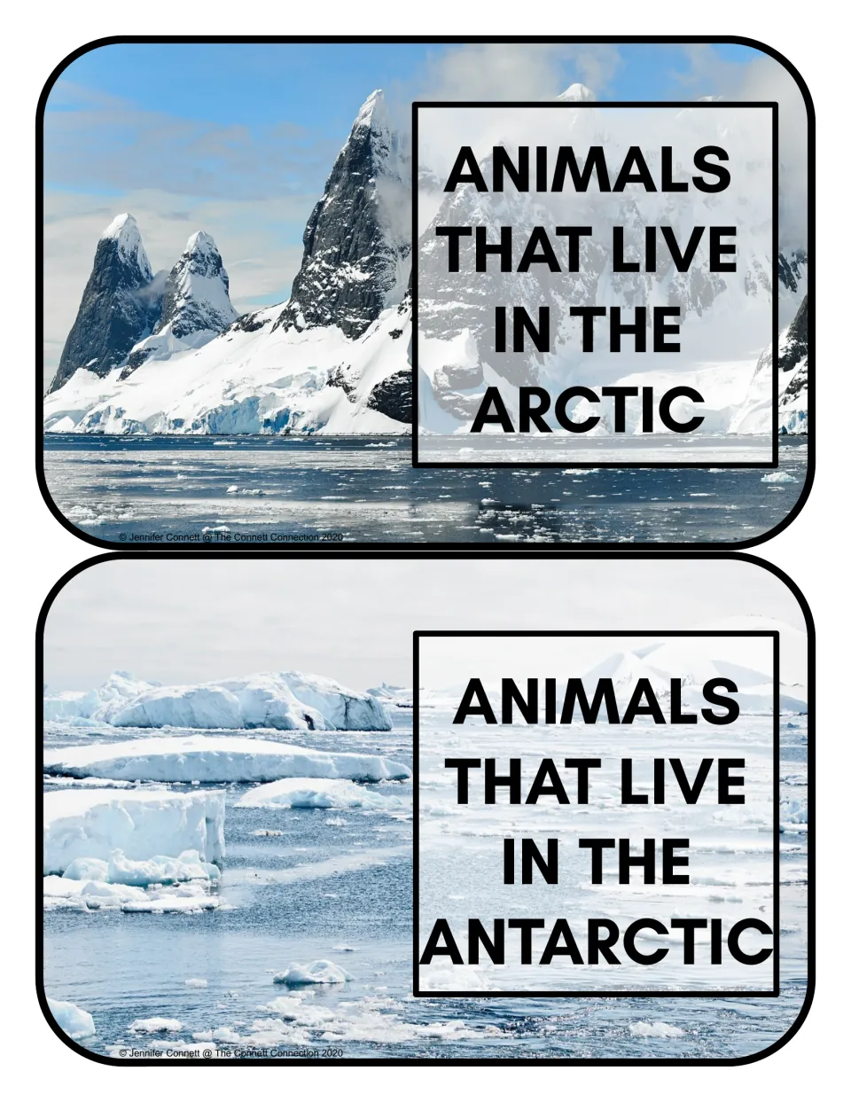 Habitat sorting header cards 5–6: 'Animals that live in the Arctic' and 'Animals that live in the Antarctic'