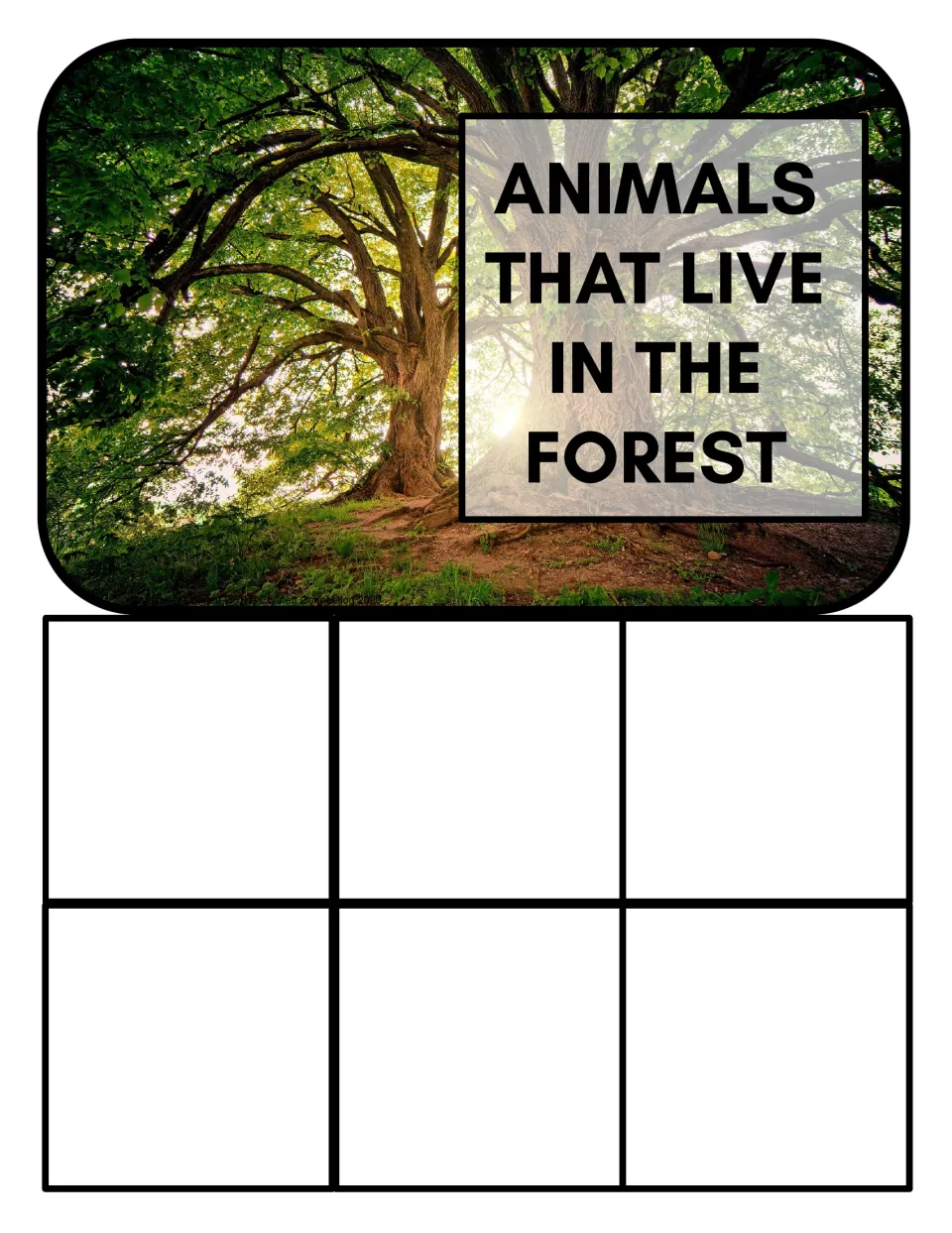 Forest habitat sorting mat labeled 'Animals that live in the forest', with a photograph of a leafy tree