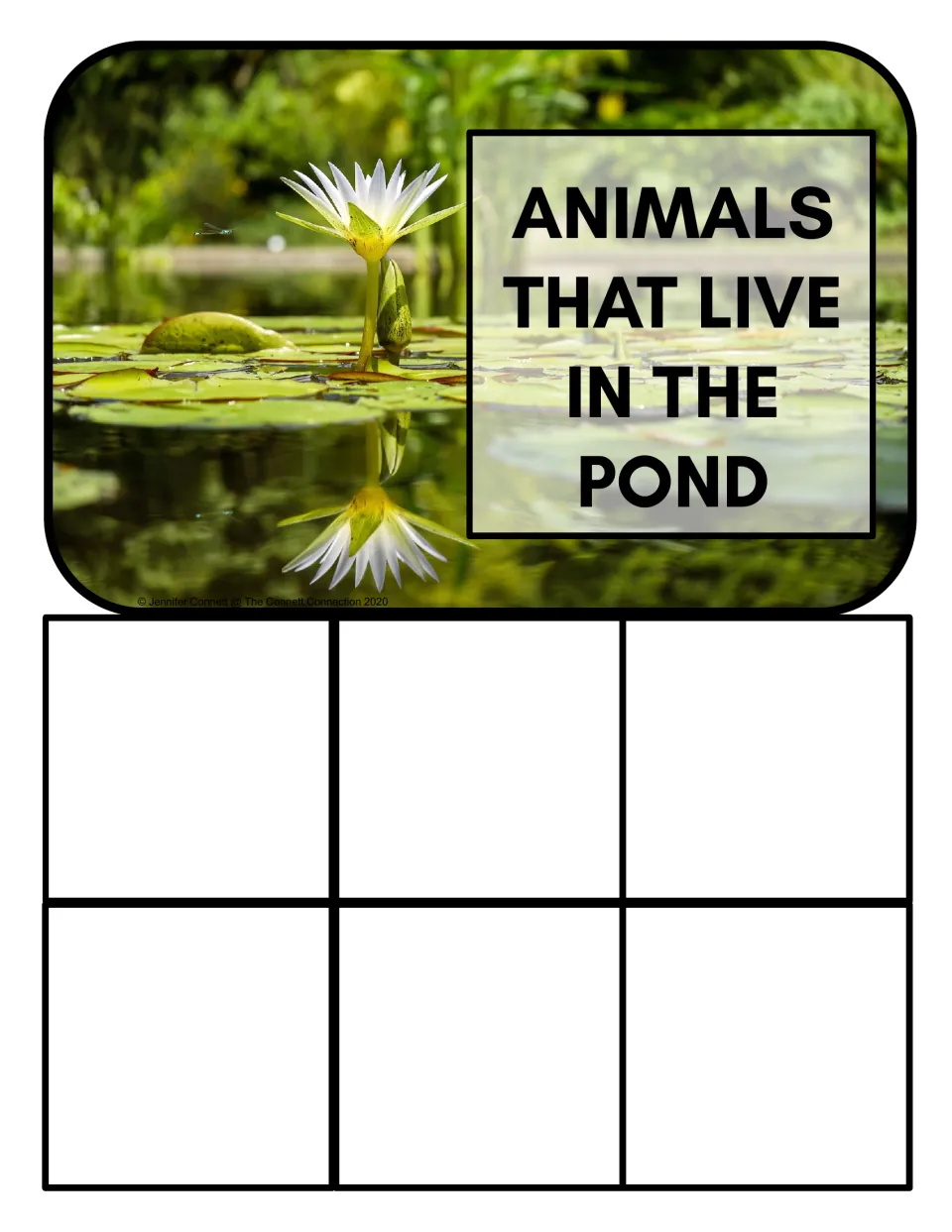 Pond habitat sorting mat labeled 'Animals that live in the pond', with a photograph of a water lily