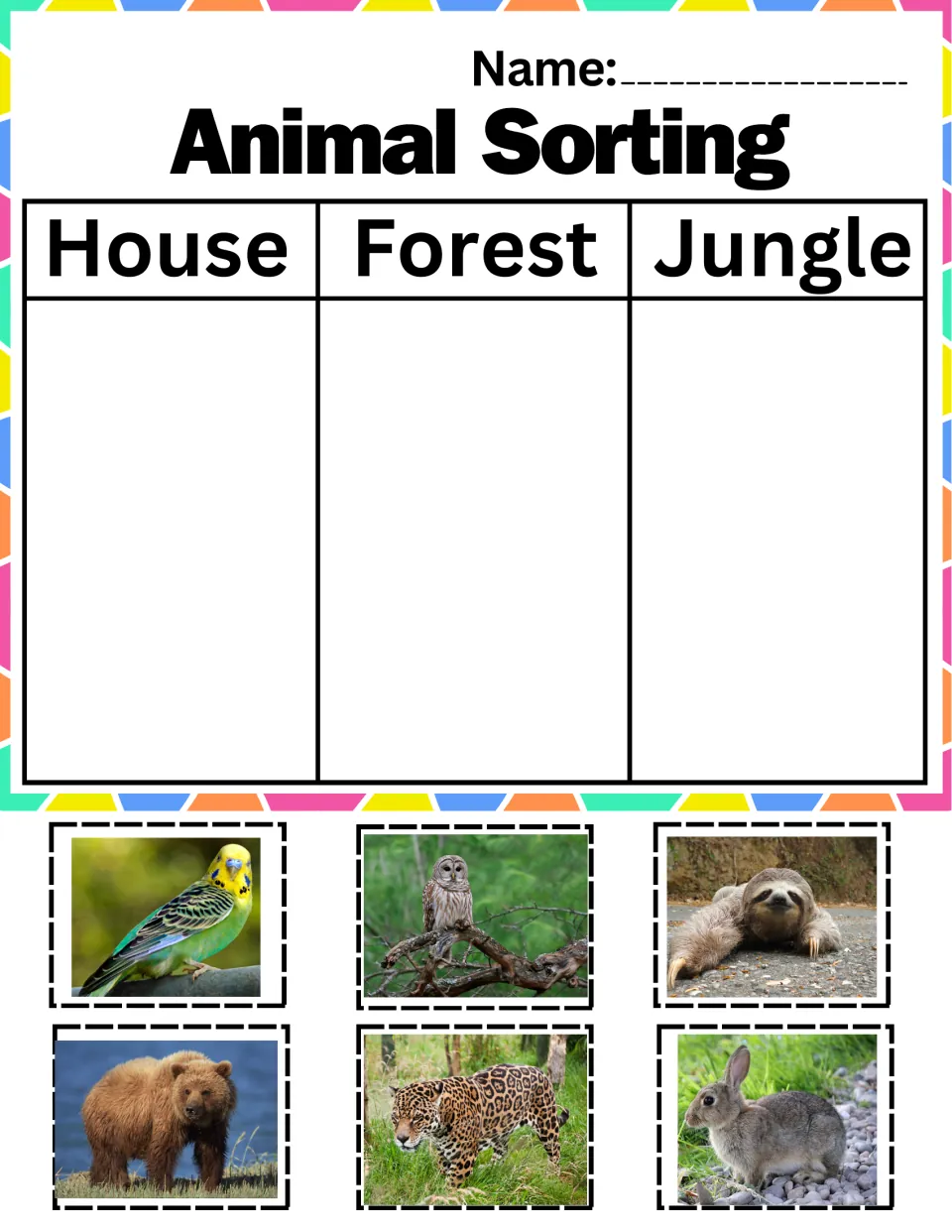 House, forest or jungle sort: students cut out budgie, owl, sloth, bear, jaguar and rabbit photos to glue by habitat