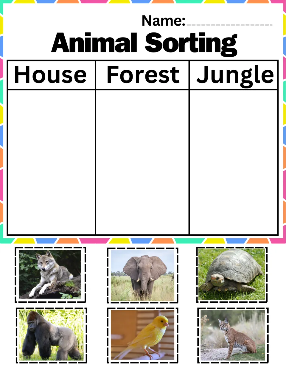 Habitat classifying: students sort wolf, elephant, tortoise, gorilla, canary and bobcat cards into house, forest, jungle