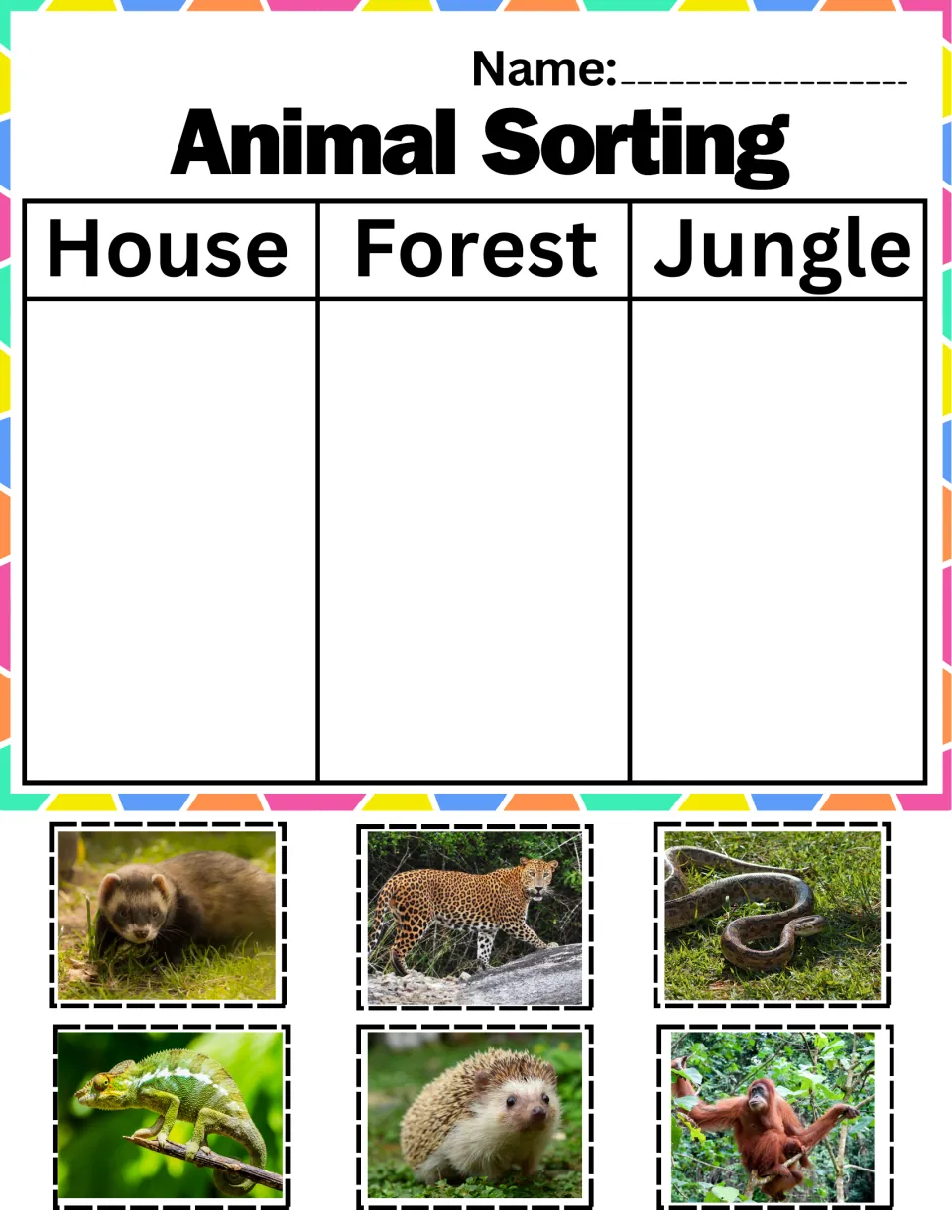 Sorting by home: students cut ferret, leopard, snake, chameleon, hedgehog and orangutan photos to place in each habitat