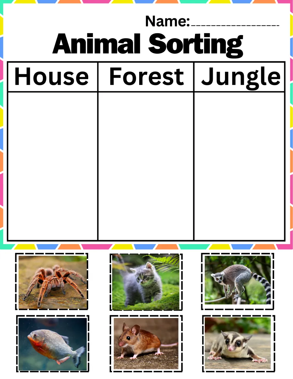 Pet or wild sort: students glue tarantula, kitten, lemur, piranha, mouse and sugar glider under house, forest, jungle