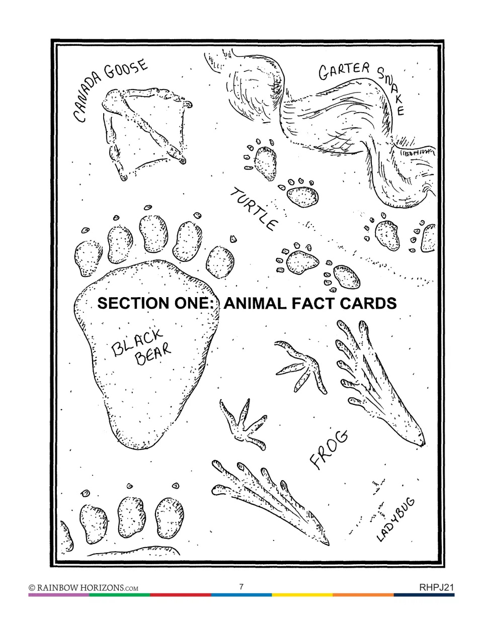 Section One divider for Animal Fact Cards: labeled tracks of a black bear, Canada goose, turtle, garter snake and frog