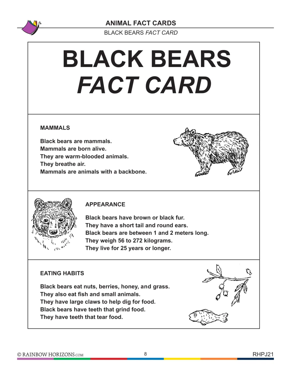 Black bears fact card, part 1: mammal traits, appearance such as fur and size, and eating habits like berries and fish