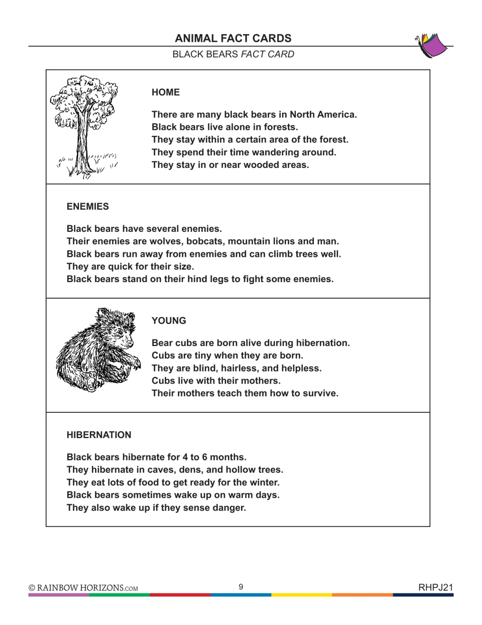 Black bears fact card, part 2: forest home, enemies like wolves, cubs born during hibernation, and 4 to 6 months in dens