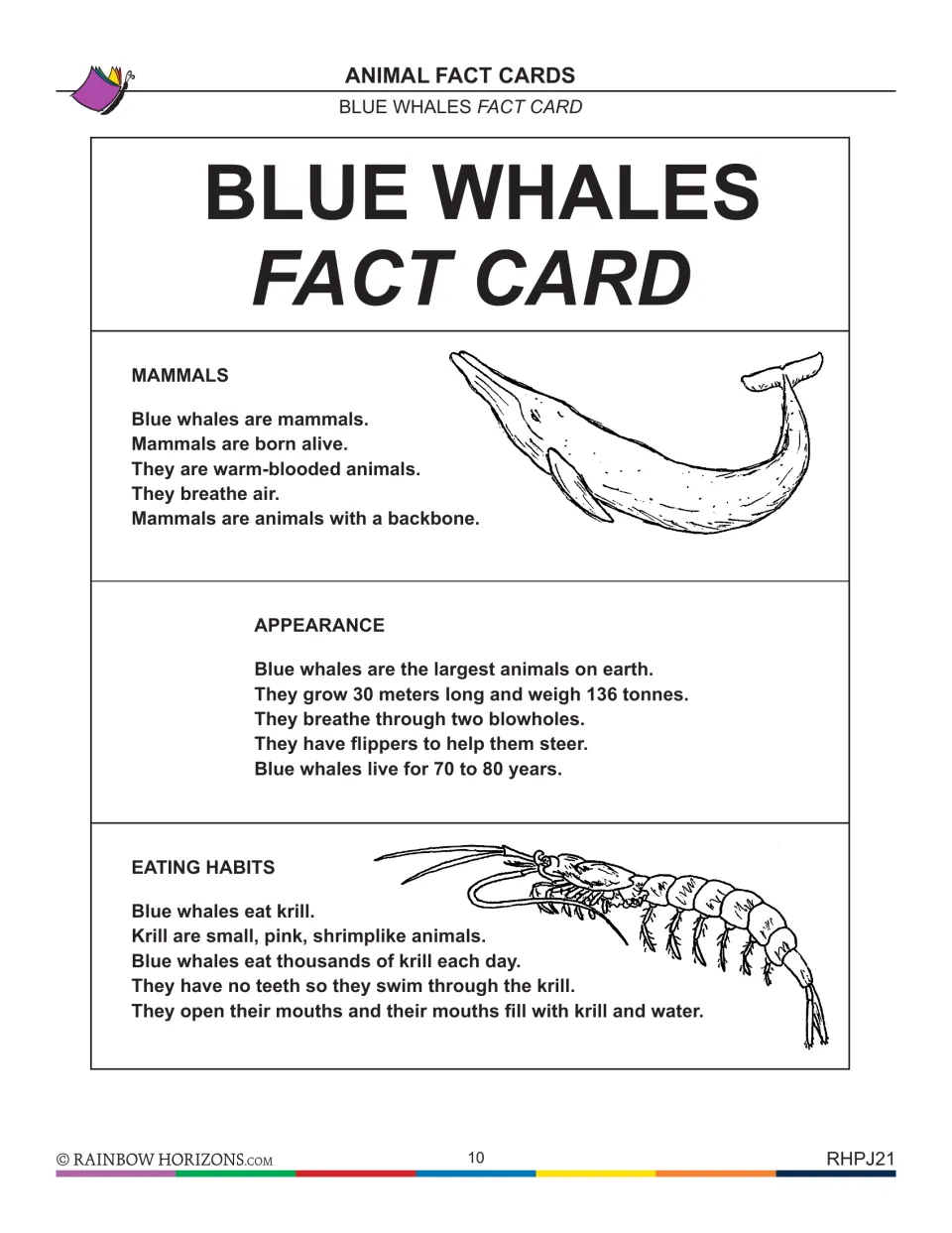 Blue whales fact card, part 1: mammal traits, size as the largest animal on earth, and eating thousands of krill daily