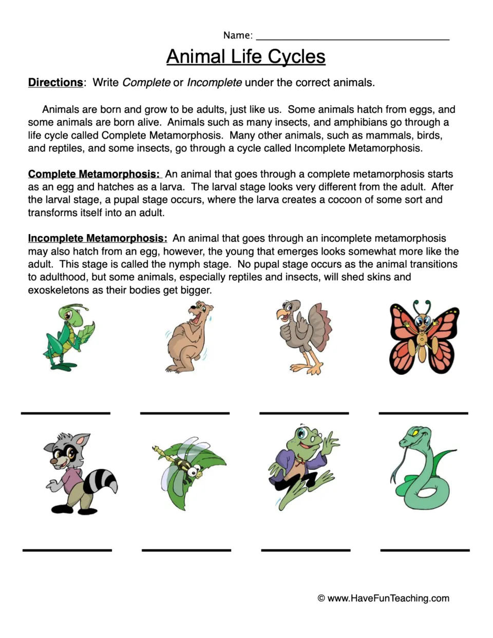 Animal life cycle sorting worksheet: read about metamorphosis and label eight animals Complete or Incomplete