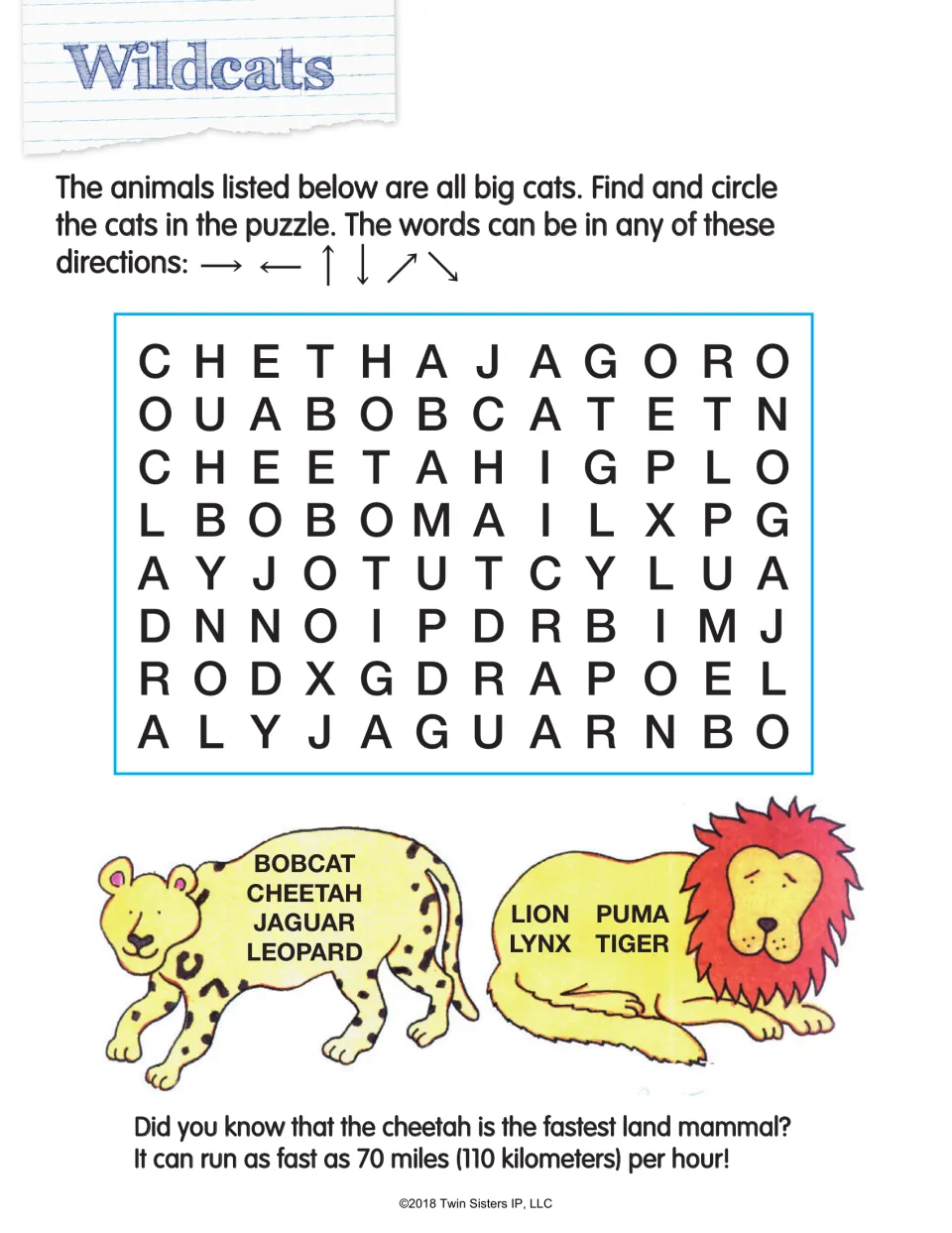 Wildcats: students search for 8 big cats, including bobcat, cheetah, jaguar, lynx and puma, hidden in any direction