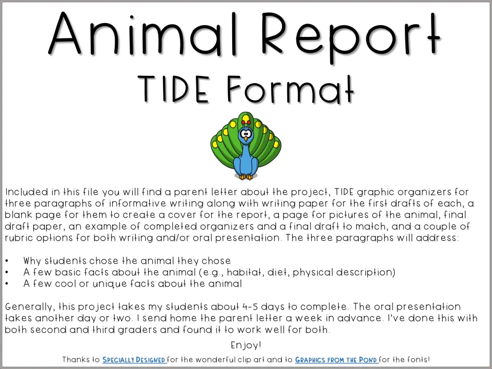 Animal Report Packet introduction explains three paragraph topics, included materials, and project timing.