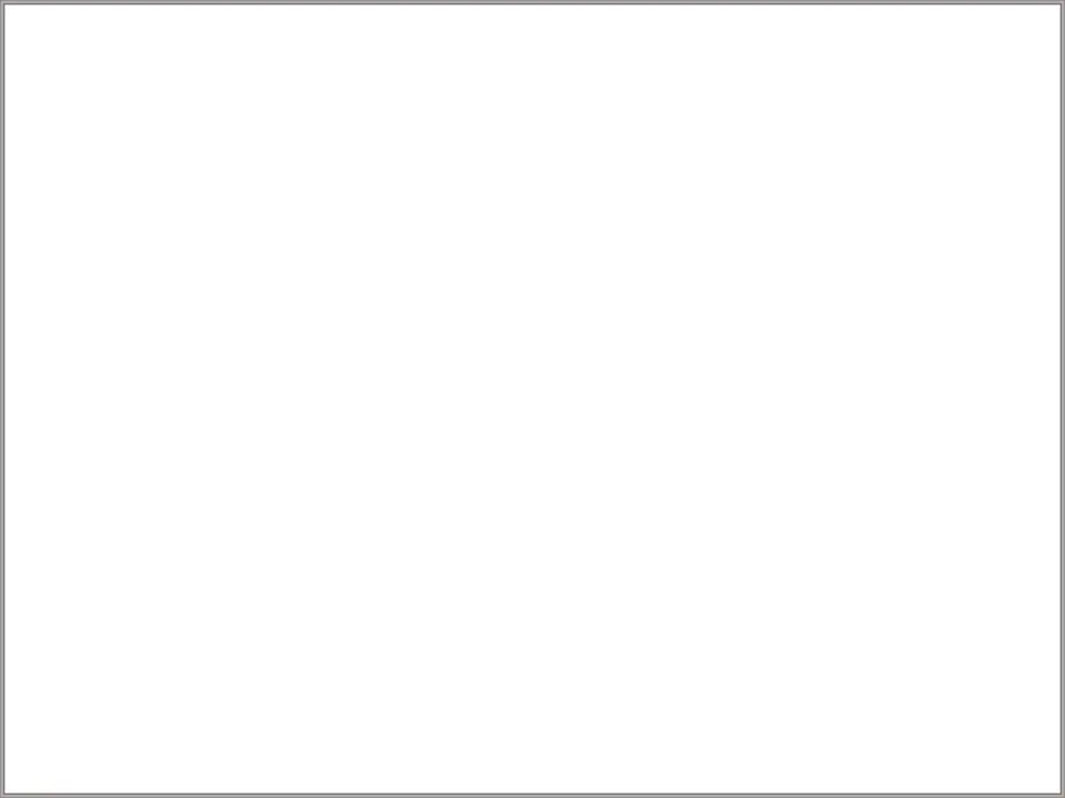 Blank student cover page for the animal report, provided for students to create their own report cover.