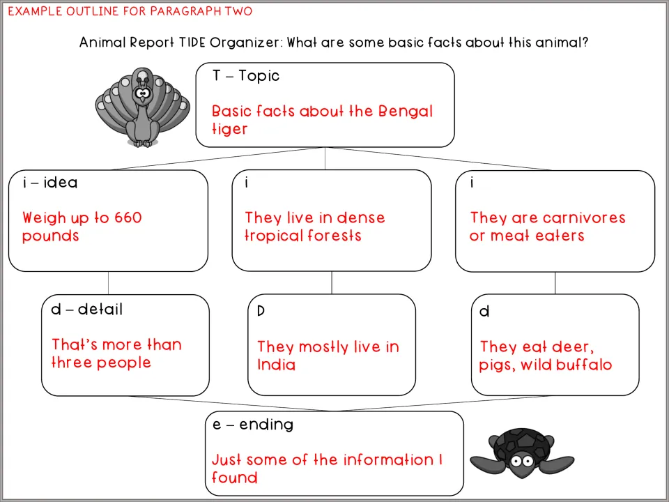 Completed second paragraph TIDE example lists Bengal tiger facts about weight, forest habitat, and meat diet.
